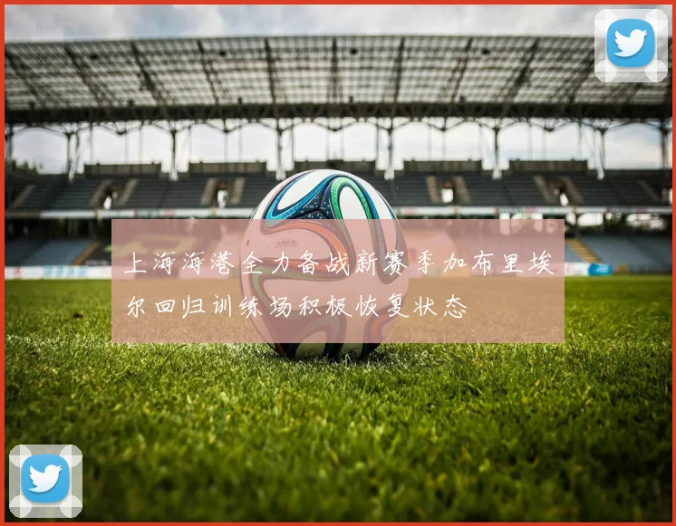 上海海港全力备战新赛季加布里埃尔回归训练场积极恢复状态
